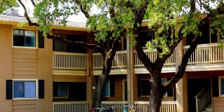 Bouldin Creek Bouldin Creek Photo Gallery 1