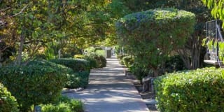 Los Gatos Gardens Los Gatos Gardens Photo Gallery 1