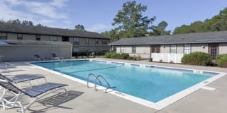 Treehaven Treehaven Photo Gallery 1