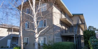 82 E 39th Ave 82 E 39th Ave Photo Gallery 1