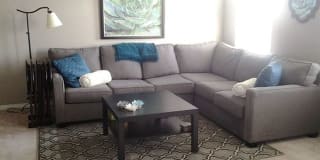 Pinellas Pines Apartments Pinellas Pines Apartments Photo Gallery 1