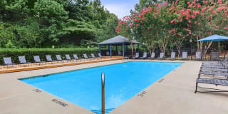 Lake Brandt Apartment Homes Lake Brandt Apartment Homes Photo Gallery 1
