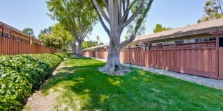 Cherry Blossom Apartments Cherry Blossom Apartments Photo Gallery 1