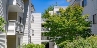 Thornton Creek Apartments Thornton Creek Apartments Photo Gallery 1
