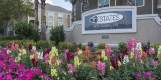 Estates at Fountain Lake Estates at Fountain Lake Photo Gallery 1