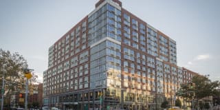 The Chrystie The Chrystie Photo Gallery 1