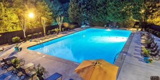 Cobalt Springs Apartments Cobalt Springs Apartments Photo Gallery 1