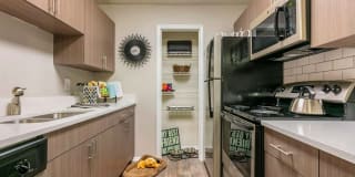 The Commons at University Square Apartments The Commons at University Square Apartments Photo Gallery 1