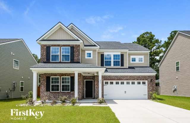 235 Firewheel Court - 235 Firewheel Court, Berkeley County, SC 29486