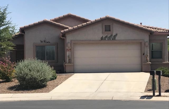 11700 W Fordson Drive - 11700 West Fordson Drive, Marana, AZ 85653