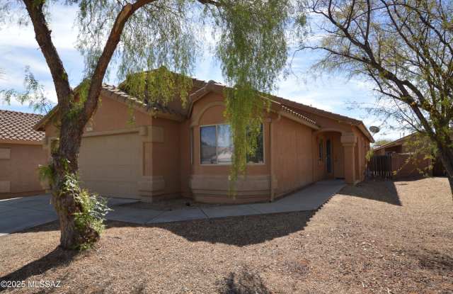 13172 E Mesquite Flat Spring Drive