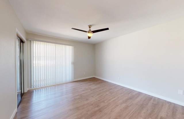 CitiZen Beach Collection on Juanita