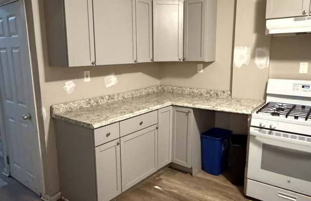 Photo of 46 Elgin Street