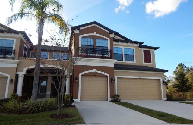 11676 CROWNED SPARROW LANE - 11676 Crowned Sparrow Lane, Westchase, FL 33626