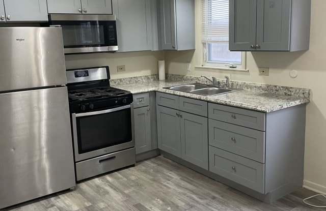 10124 South Pulaski Road - 2C
