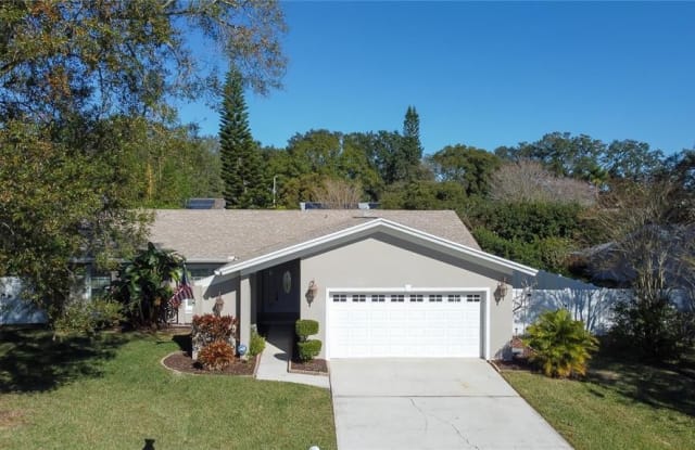 214 N BAY HILLS BOULEVARD - 214 North Bay Hills Boulevard, Safety Harbor, FL 34695