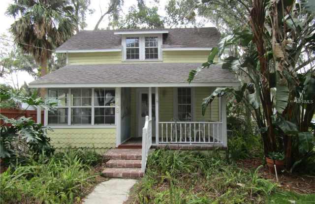 148 W 9TH AVENUE - 148 9th Ave, Mount Dora, FL 32757