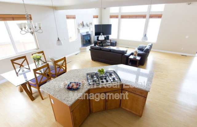 16439 Mills Park Circle