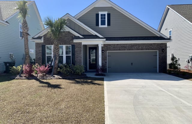 169 Whaler Avenue - 169 Whaler Avenue, Berkeley County, SC 29461