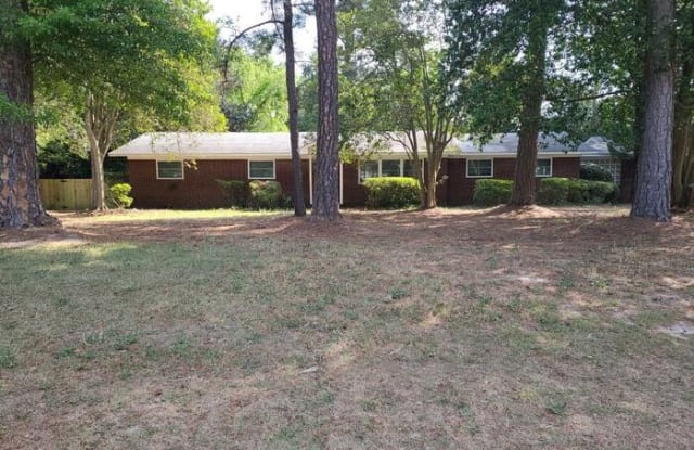 390 Old Evans Road - 390 Old Evans Road, Martinez, GA 30907