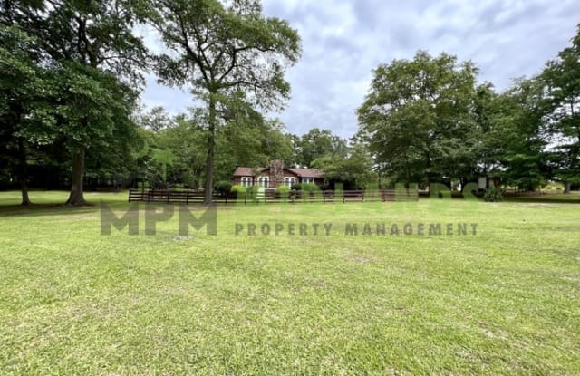 406 Rimer Pond Road - 406 Rimer Pond Road, Richland County, SC 29016