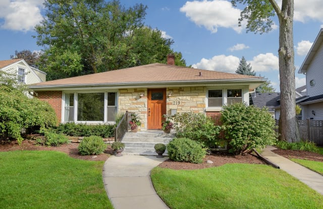 219 Spring Avenue - 219 West Spring Avenue, Naperville, IL 60540