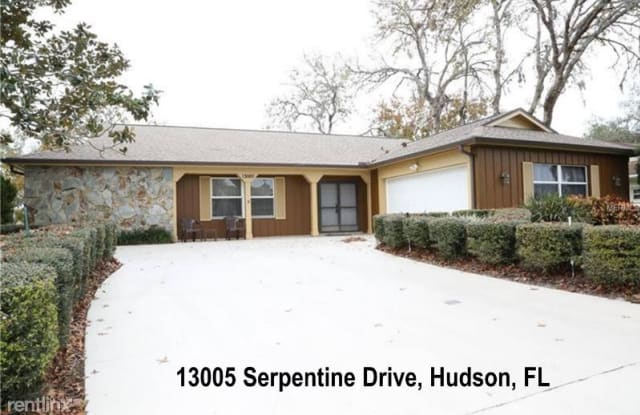 13005 SERPENTINE DR - 13005 Serpentine Drive, Hudson, FL 34667