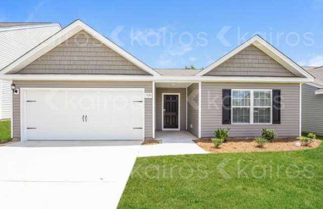 1720 Mimosa Bloom Court - 1720 Mimosa Bloom Court, Lexington County, SC 29054