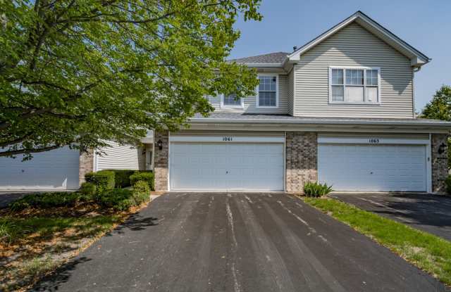 1061 Sheridan Circle - 1061 Sheridan Circle, Naperville, IL 60563