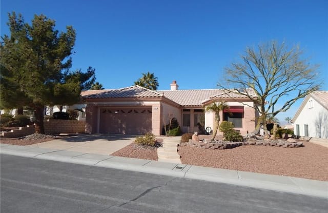 10032 NETHERTON Drive - 10032 Netherton Drive, Las Vegas, NV 89134