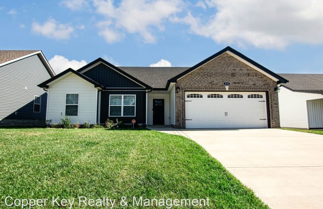 878 Lutz Lane - 878 Lutz Lane, Clarksville, TN 37042