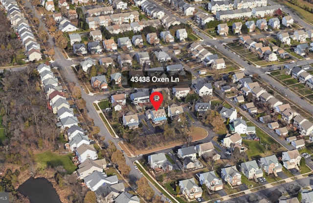 43438 OXEN Lane