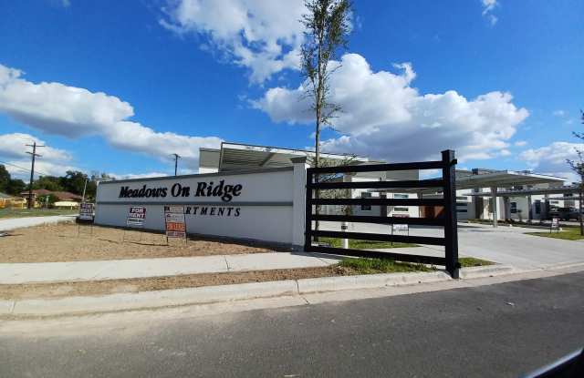 1805 Angelina Drive - 4