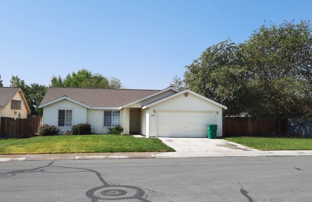 624 Brook - 624 Brook Lane, Fernley, NV 89408