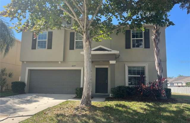 10259 STRAWBERRY TETRA DRIVE