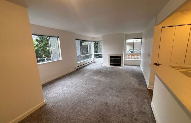 4301 Woodland Park