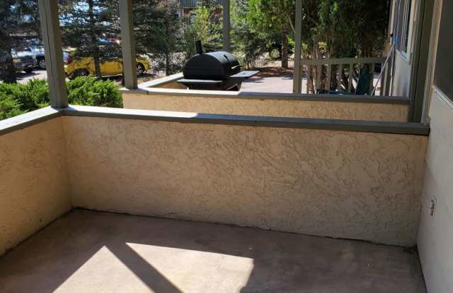 1 Bedroom, 1 Bath - Outdoor Patio (Available 3/1/25)