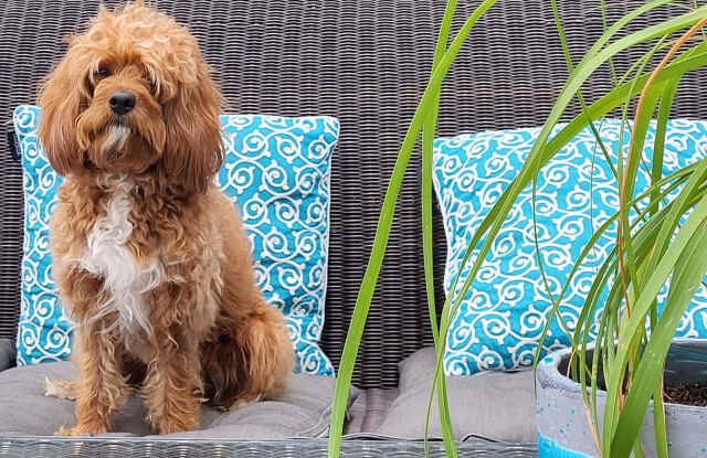 5700 Northeast 20th Avenue