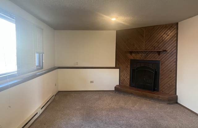 1727 Palmer Drive - 3