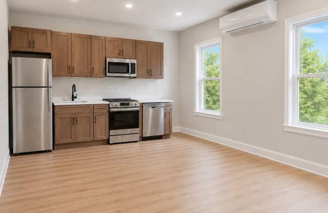 Completely Renovated New 1 Bed/1 Bath in Providence!