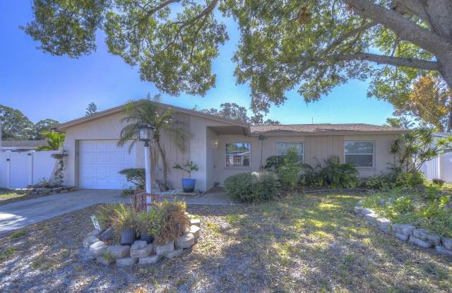 9252 81st Avenue - 9252 81st Avenue, Seminole, FL 33777