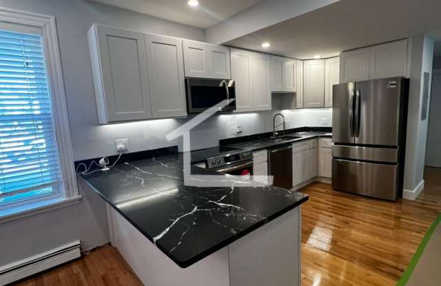 Duplex Near BU!  Brand New Luxury Renovation!   Samsung TV Included!   Breakfast Bar!  High End Appliances