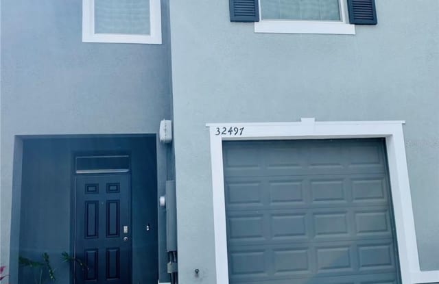 32497 TURTLE GRACE LOOP