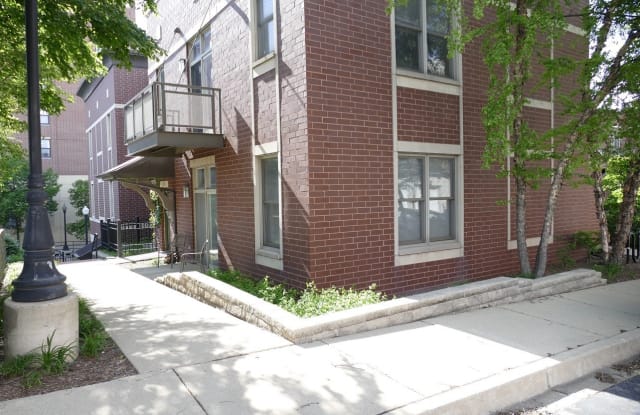 1531 S Halsted Street - 1531 South Halsted Street, Chicago, IL 60607