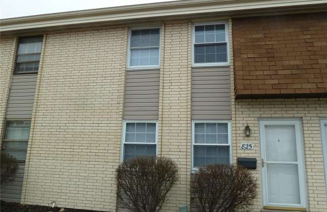 825 Lilybud Court