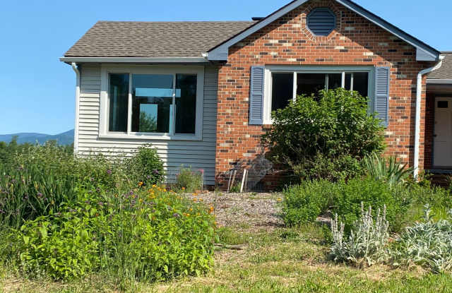 5802 Roach Ridge - Spectacular view of the Blue Ridge Mountains!