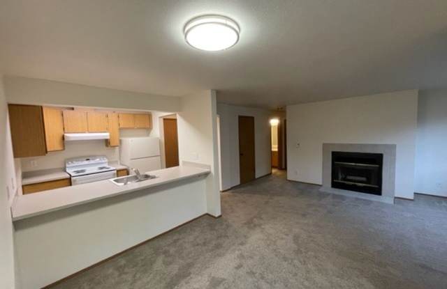 (1K) Kristine Apartments