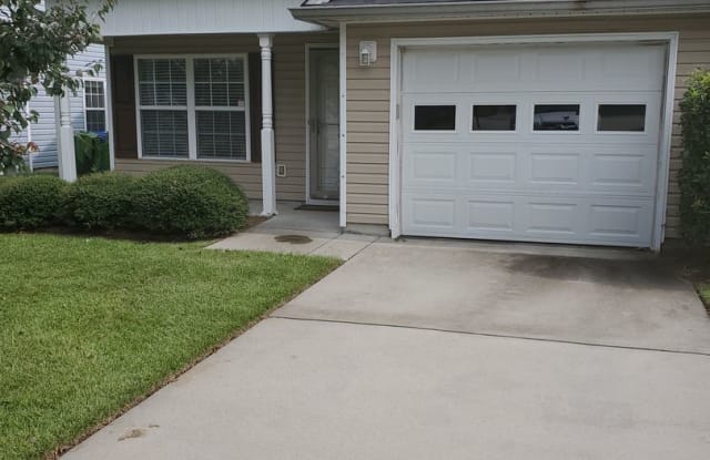 313 Eagle Feather Loop - 313 Eagle Feather Loop, Columbia, SC 29206