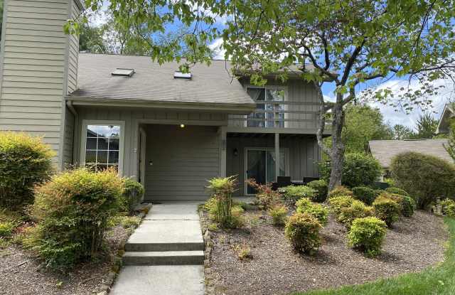 110 Chota View Lane