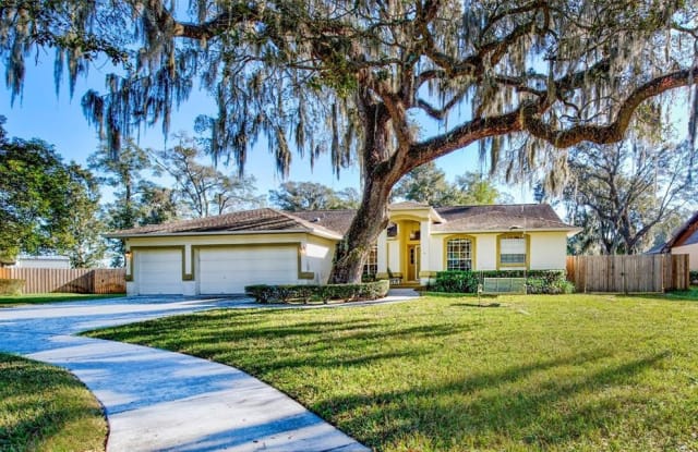 2104 WHITLOCK PLACE - 2104 Whitlock Place, Hillsborough County, FL 33527